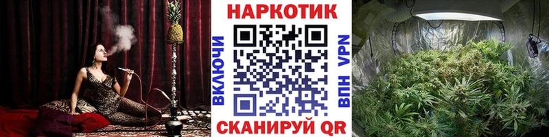 Как найти наркотики Алупка Конопля Галлюциногенные грибы Мефедрон кракен онион А ПВП