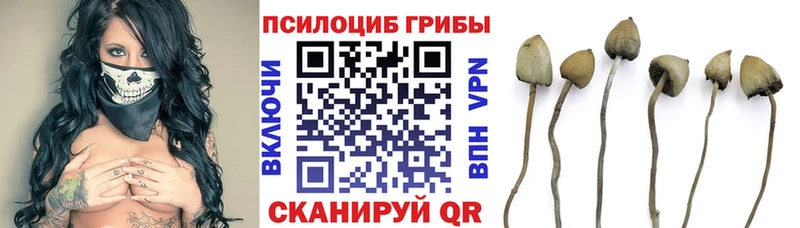 Псилоцибиновые грибы MAGIC MUSHROOMS Алупка